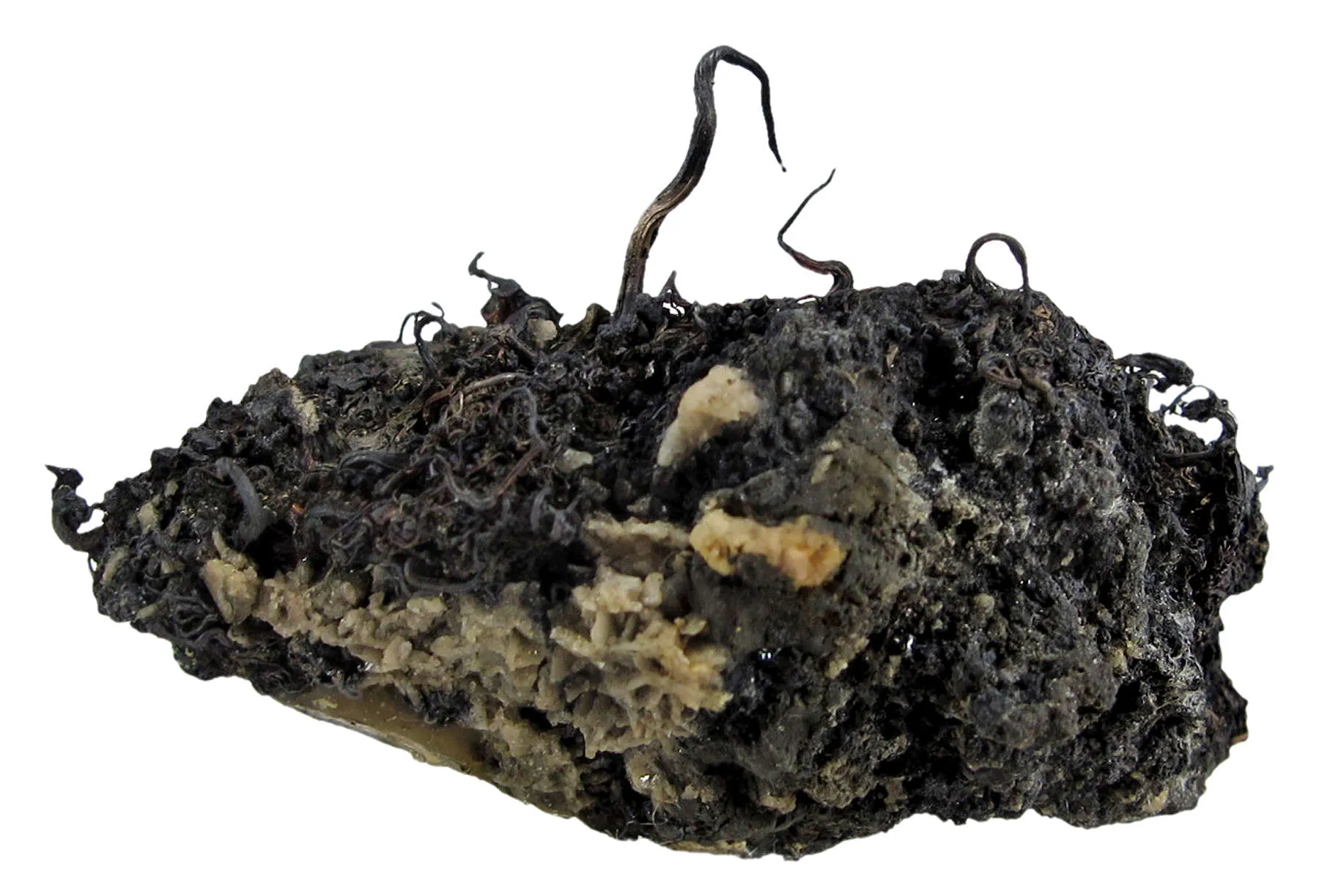 Native Silver - image 2