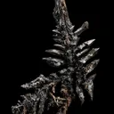 NATIVE Silver - image 1