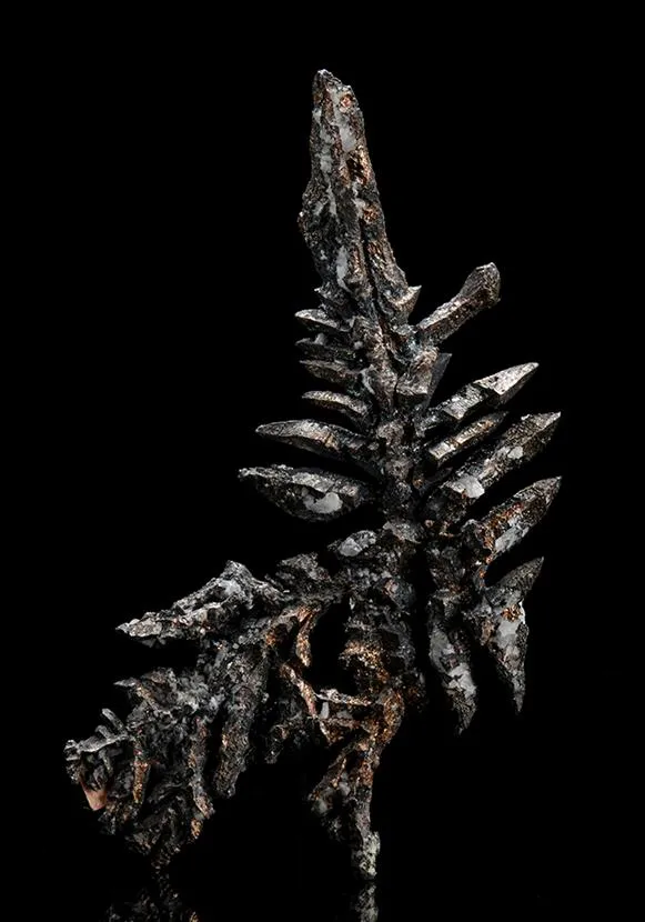 NATIVE Silver - image 1