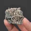 NATIVE Silver - image 2