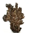 Native Silver - image 1