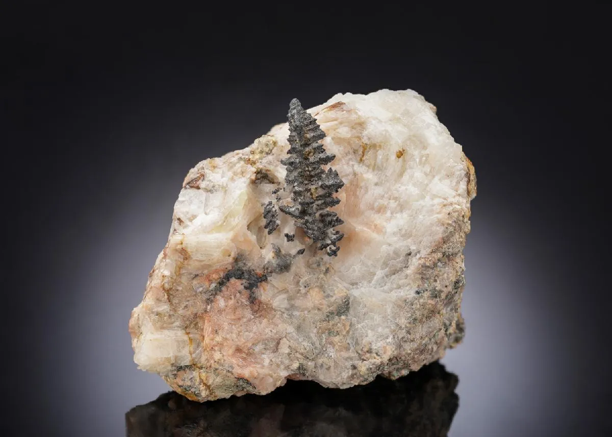 NATIVE Silver - image 1