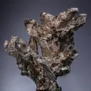 NATIVE Silver - image 1