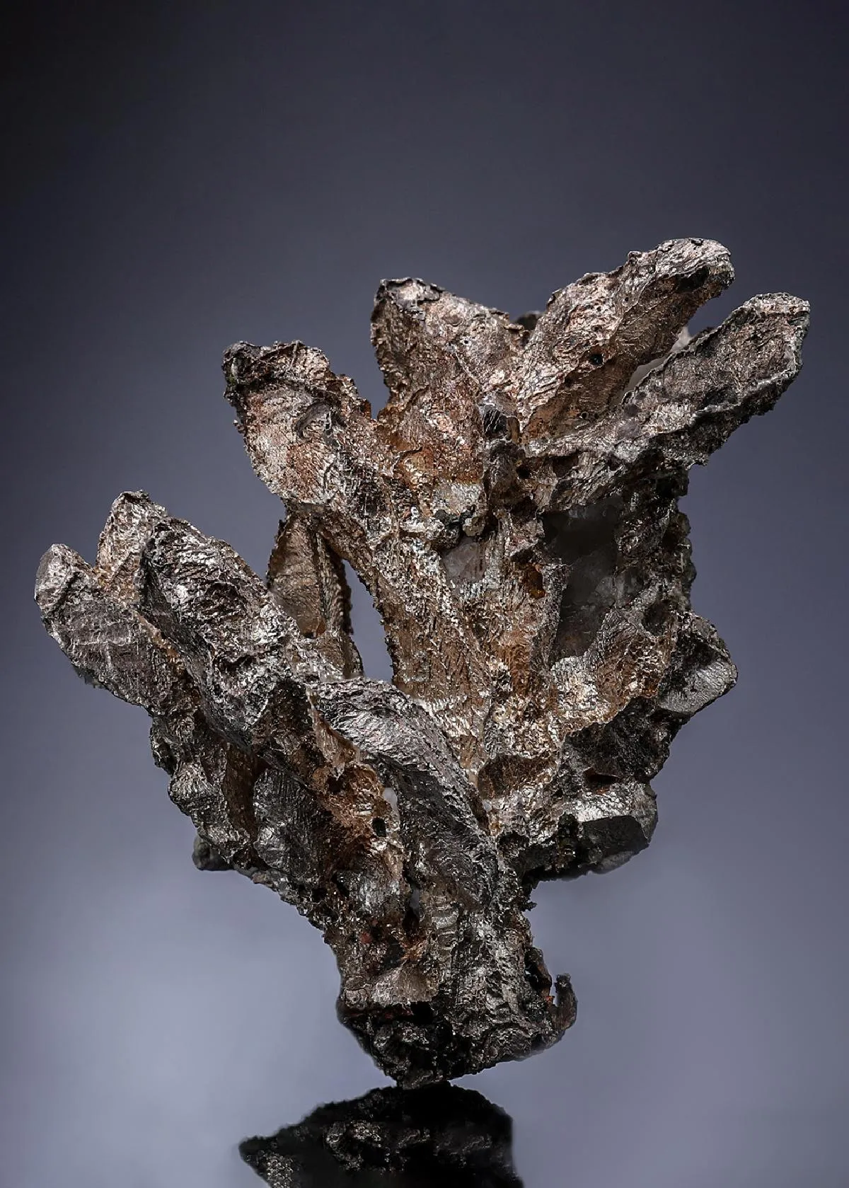 NATIVE Silver - image 1