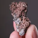 NATIVE Silver - image 2