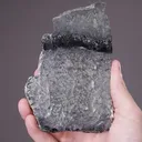 NATIVE Silver - image 2