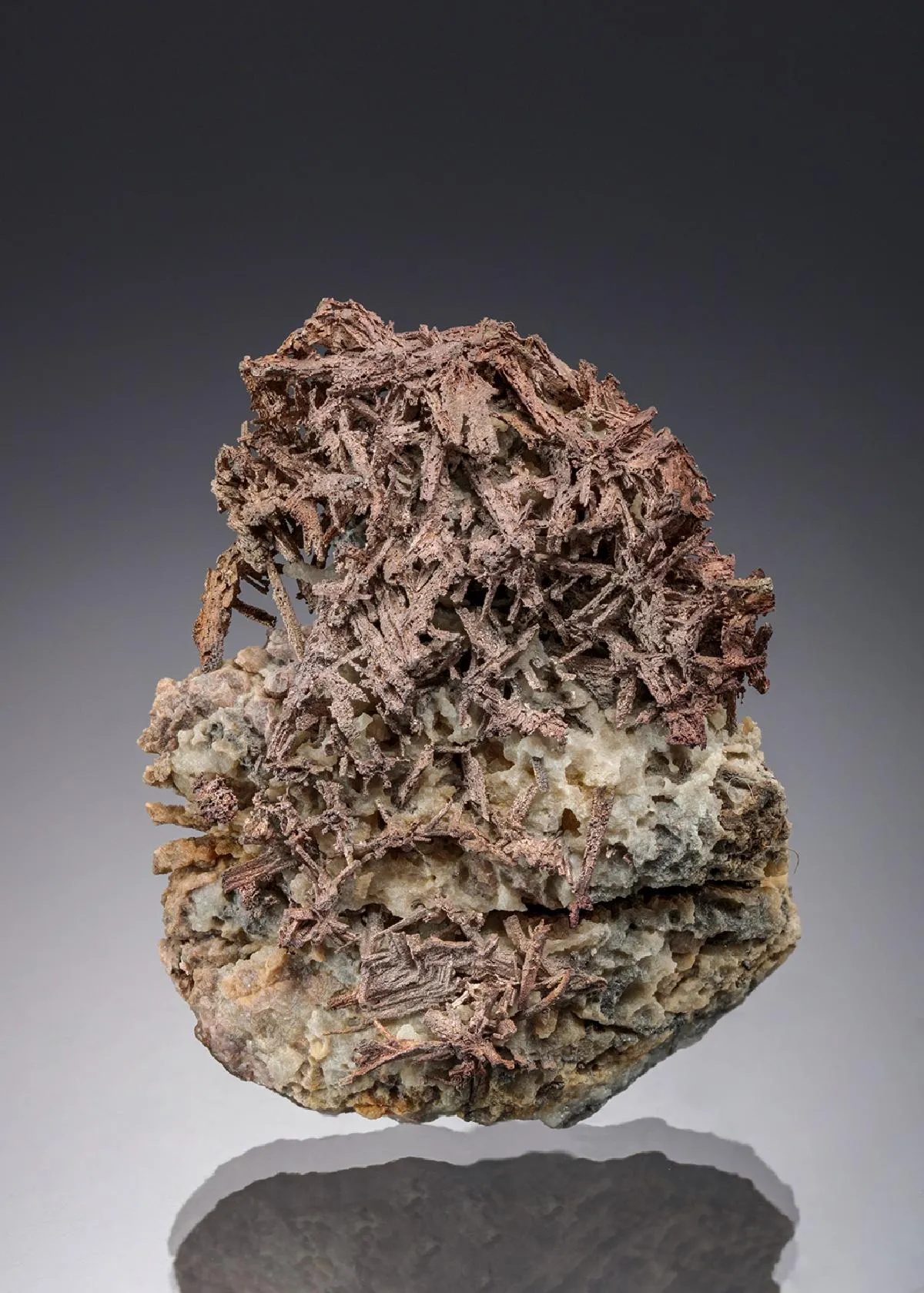 NATIVE Silver - image 1