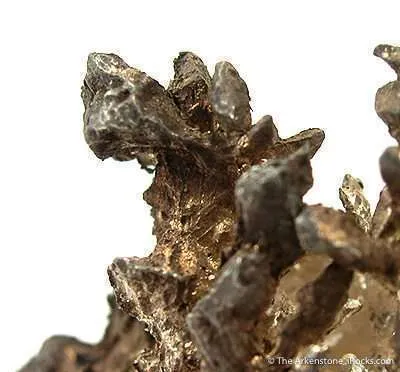 Native Silver - image 3