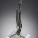 NATIVE Silver - image 1