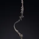 NATIVE Silver - image 1