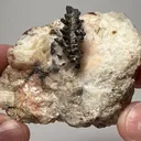 NATIVE Silver - image 2