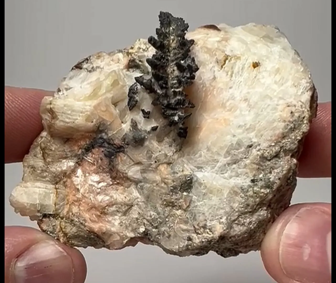 NATIVE Silver - image 2