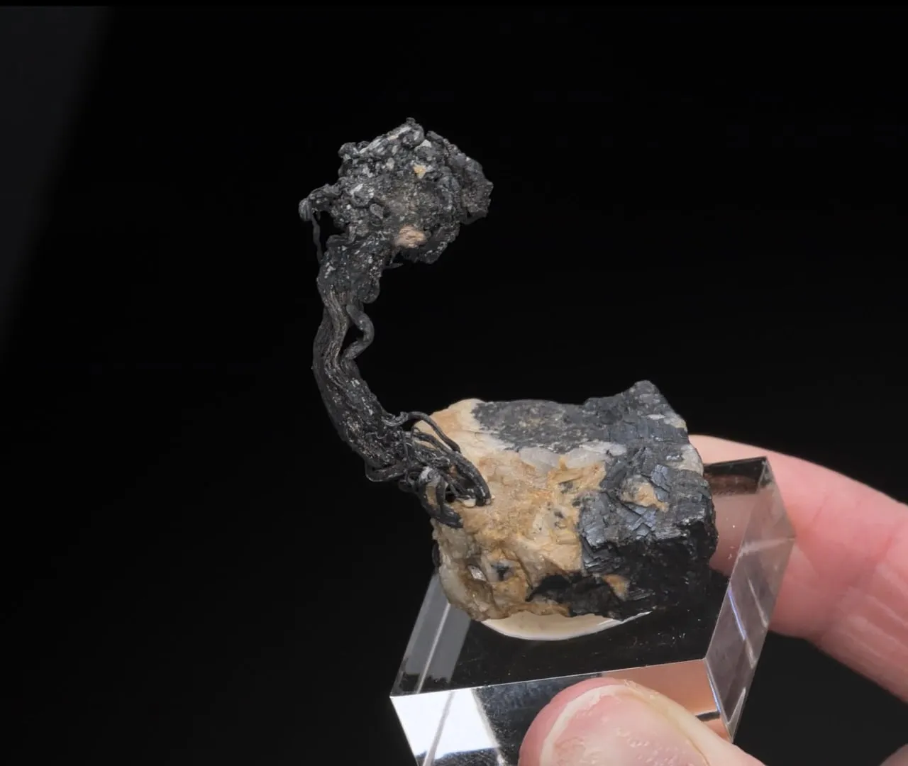 NATIVE Silver - image 2