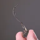 NATIVE Silver - image 2