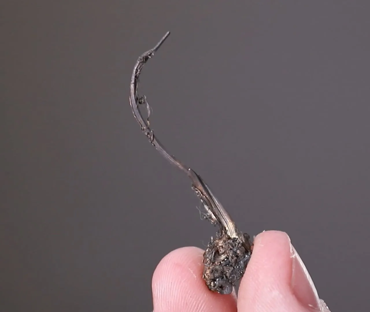 NATIVE Silver - image 2