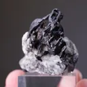 NATIVE Silver - image 2