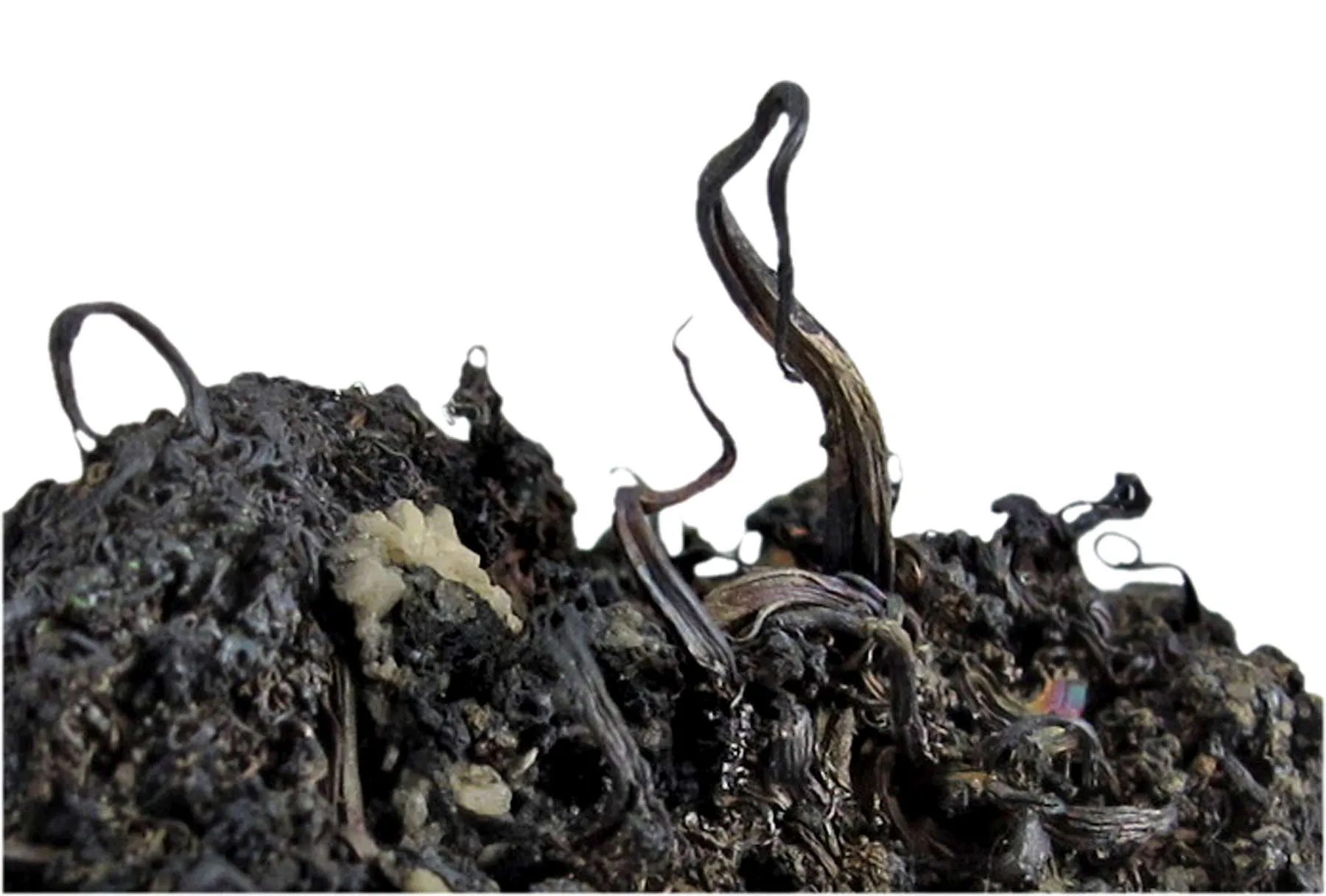 Native Silver - image 1