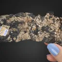 NATIVE Silver - image 2