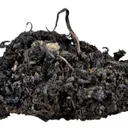 Native Silver - image 3