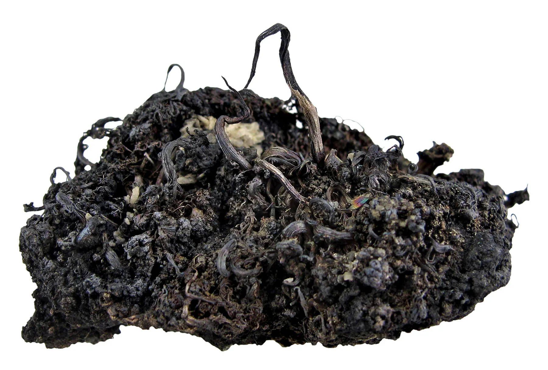 Native Silver - image 3