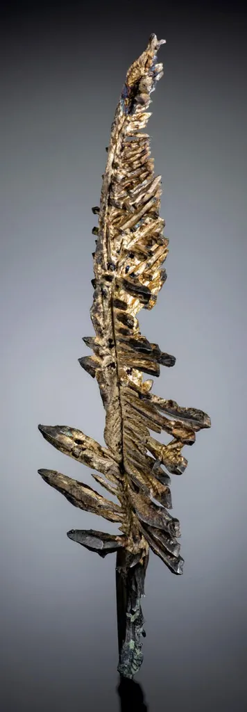 Native Silver image