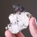 NATIVE Silver - image 2