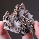 NATIVE Silver - image 2