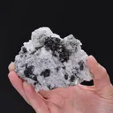 NATIVE Silver - image 2