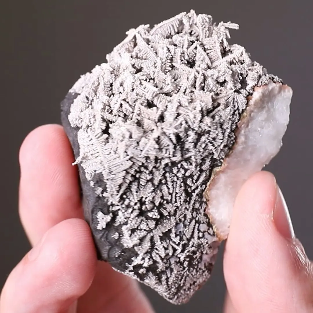 NATIVE Silver - image 2