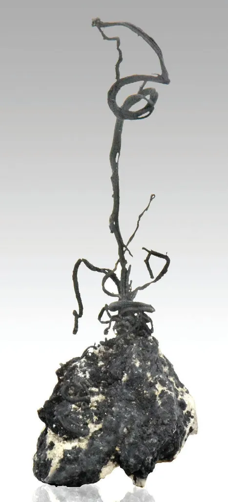 Native Silver image