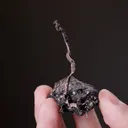 NATIVE Silver - image 2