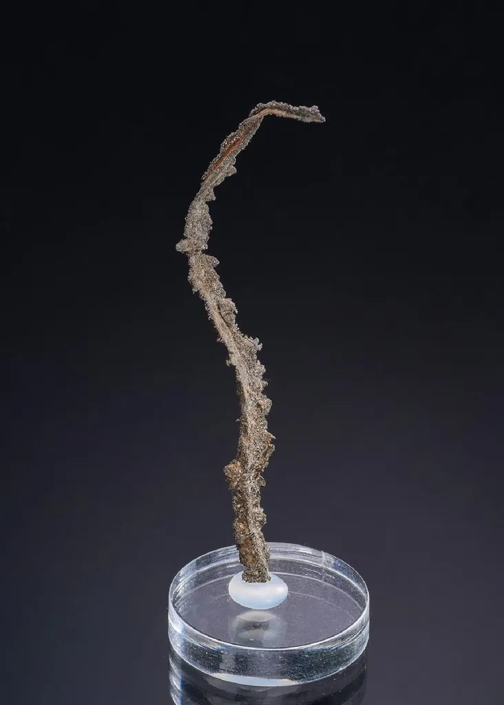NATIVE Silver image