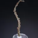 NATIVE Silver - image 1