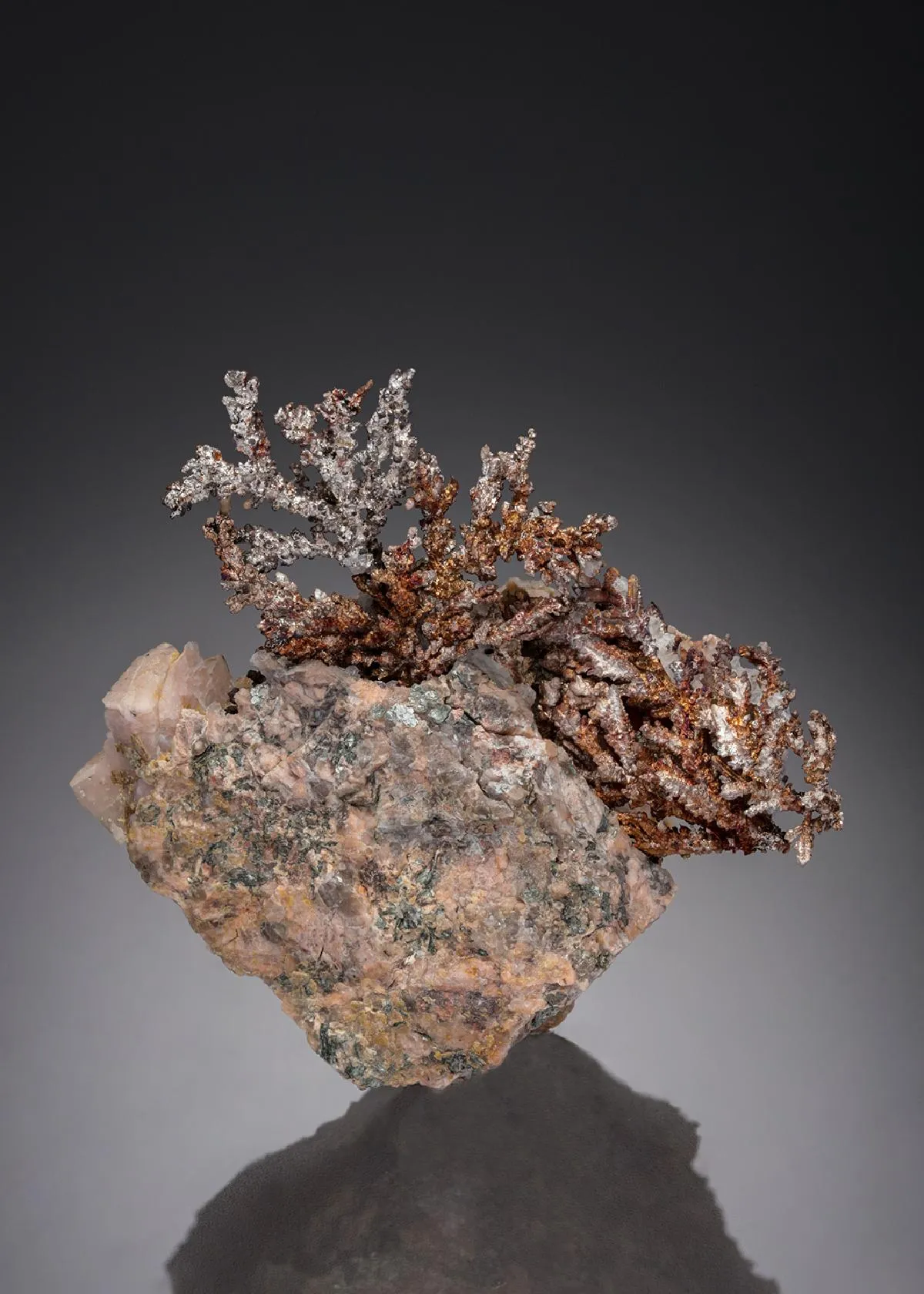 NATIVE SILVER - image 1