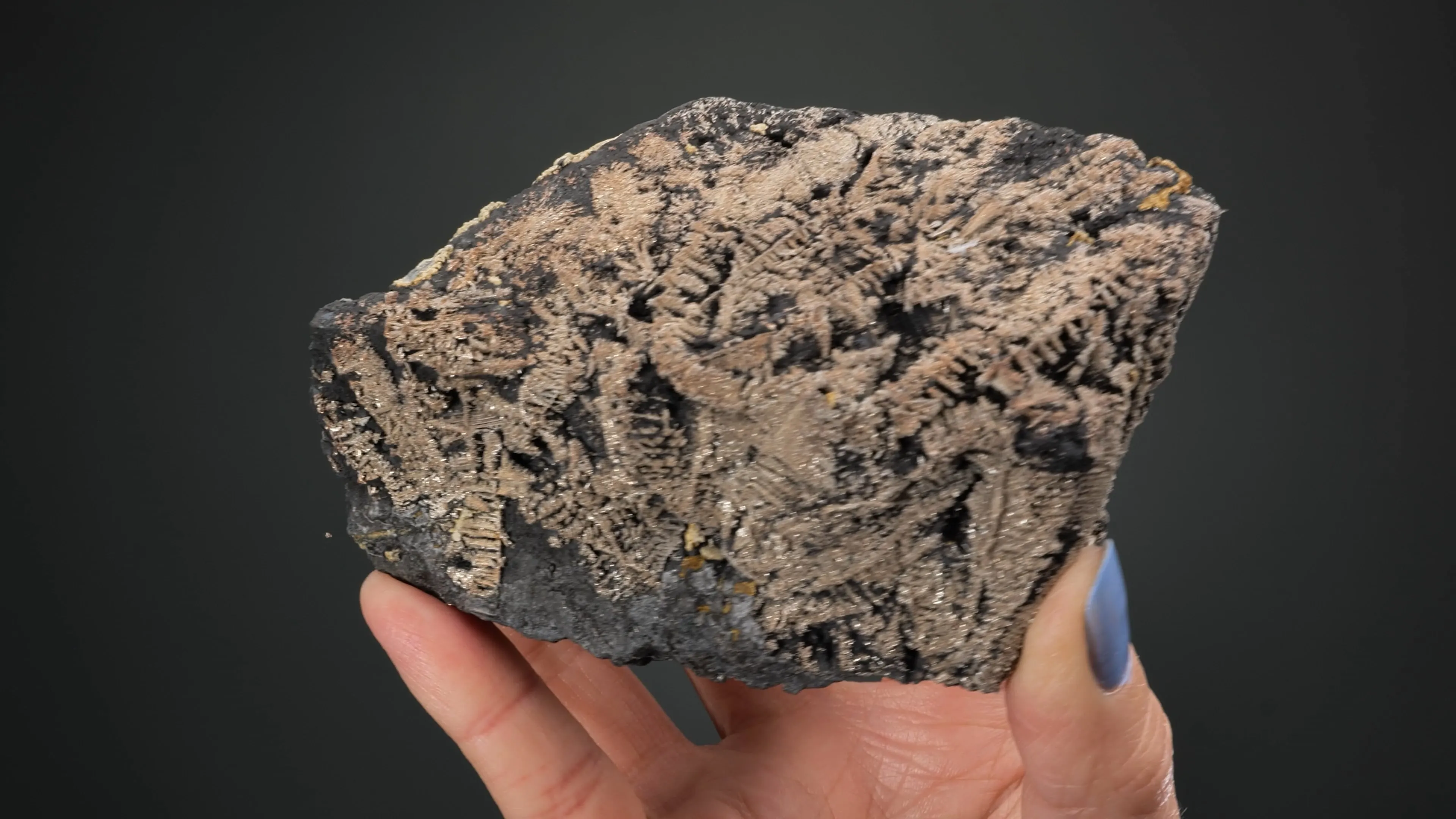 NATIVE Silver - image 2