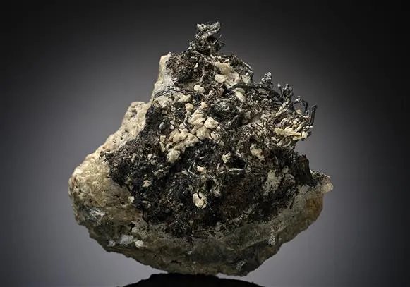 NATIVE Silver - image 1