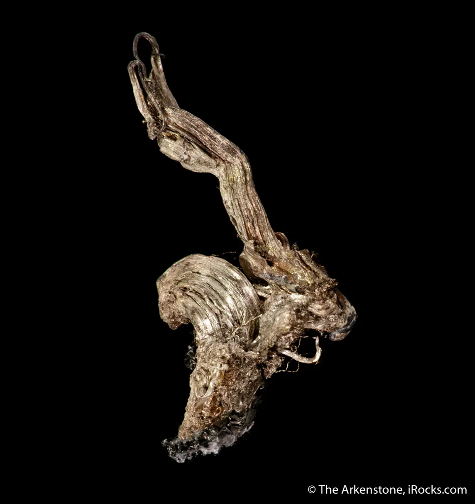 Native Silver (Colorado!) - image 3