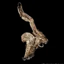 Native Silver (Colorado!) - image 3