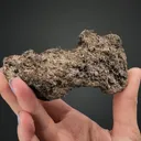 NATIVE Silver - image 2