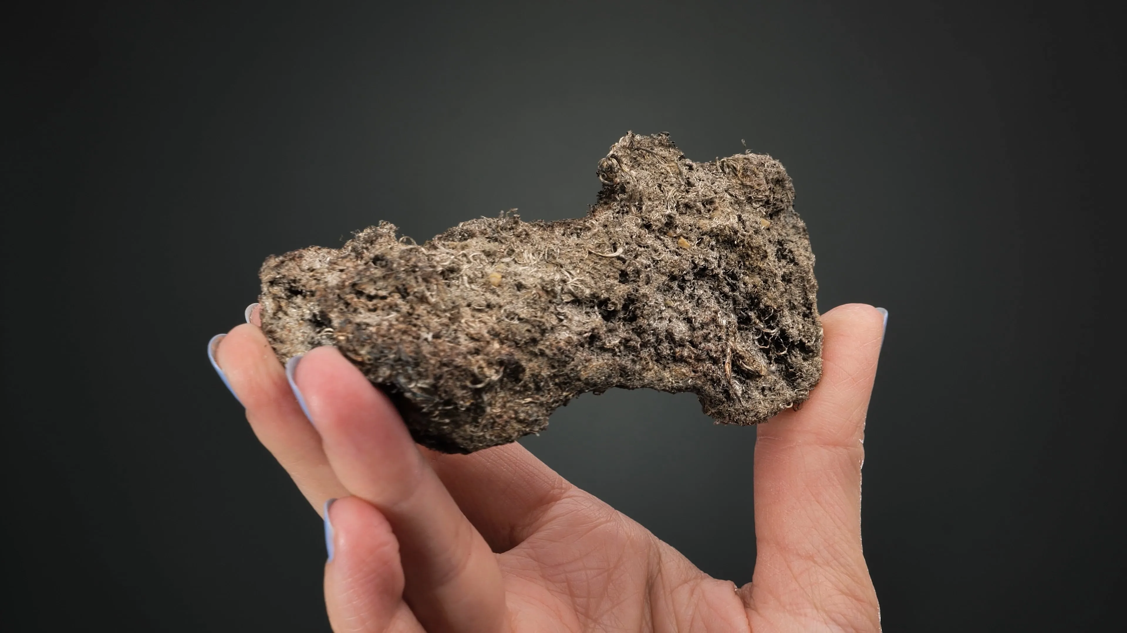 NATIVE Silver - image 2