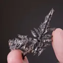 NATIVE Silver - image 2