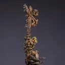 NATIVE Silver - image 1