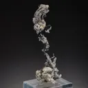 NATIVE Silver - image 1