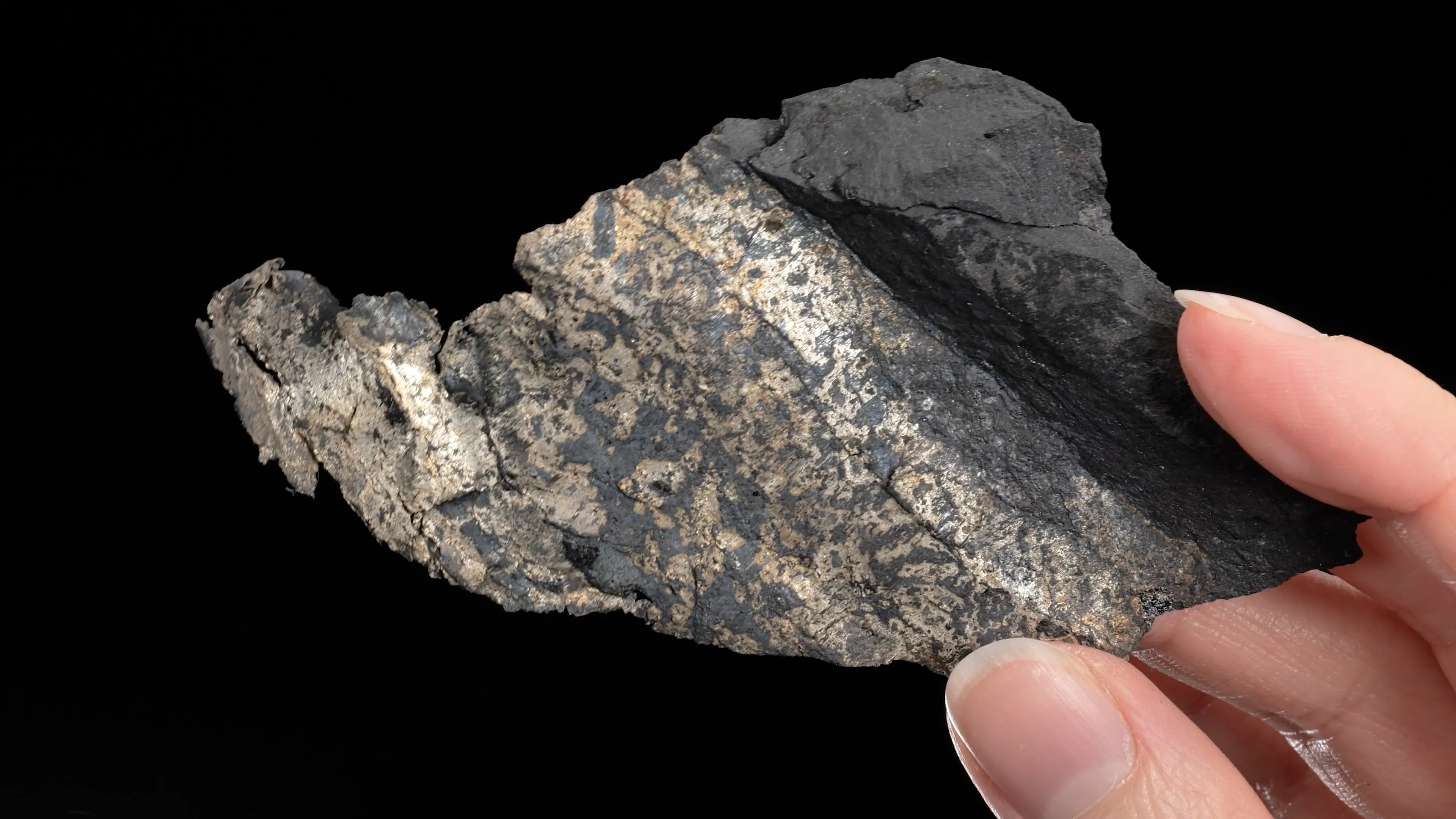 NATIVE Silver - image 2