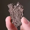 NATIVE Silver - image 2