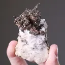 NATIVE Silver - image 2