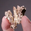 NATIVE Silver - image 2