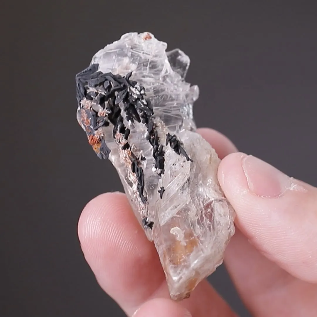 NATIVE Silver in Gypsum - image 2