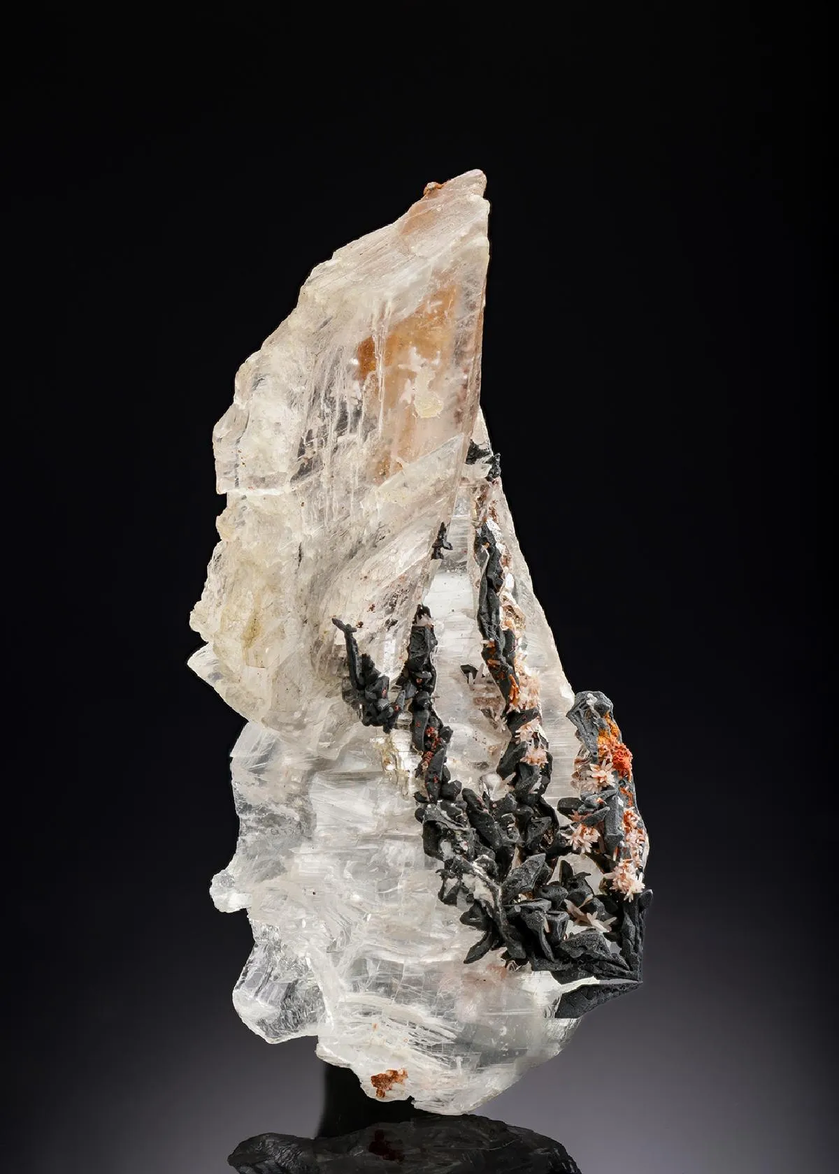 NATIVE Silver in Gypsum - image 1