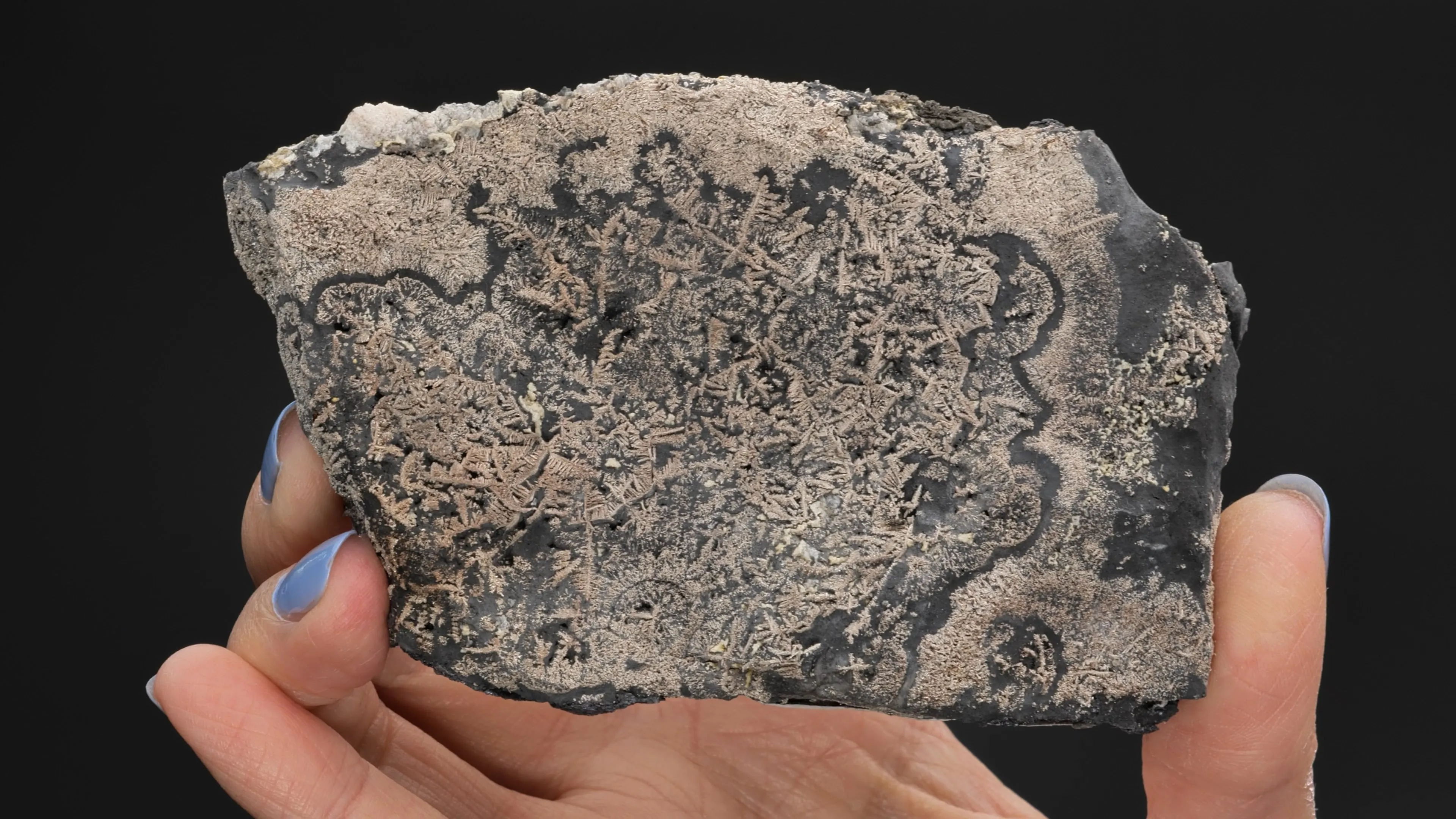 NATIVE Silver in NATIVE Arsenic - image 2